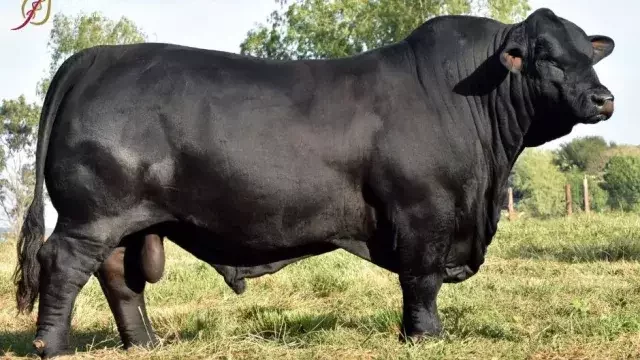 El Comercio Electrónico | B2B