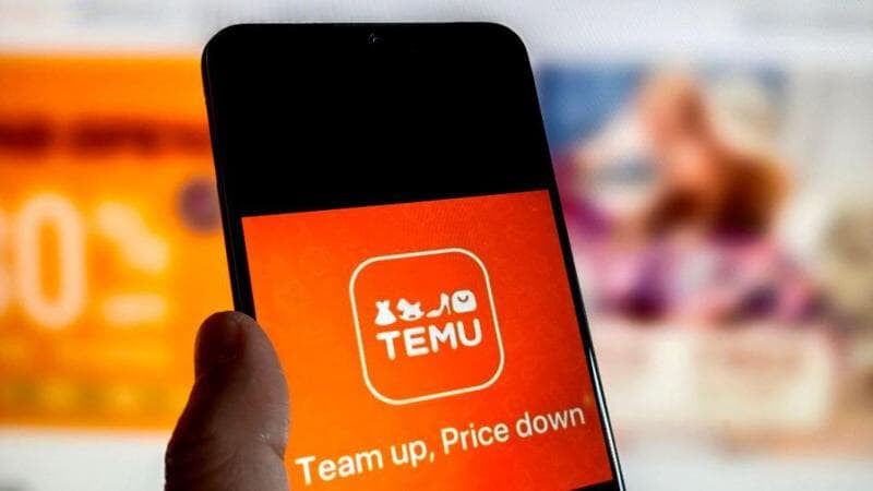 Temu, el gigante chino que está sacudiendo el mercado de las compras en línea